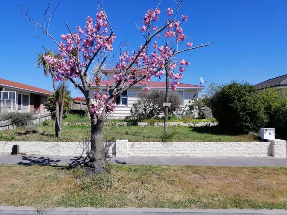Homestay Double Room, Near The City Center Christchurch Kültér fotó
